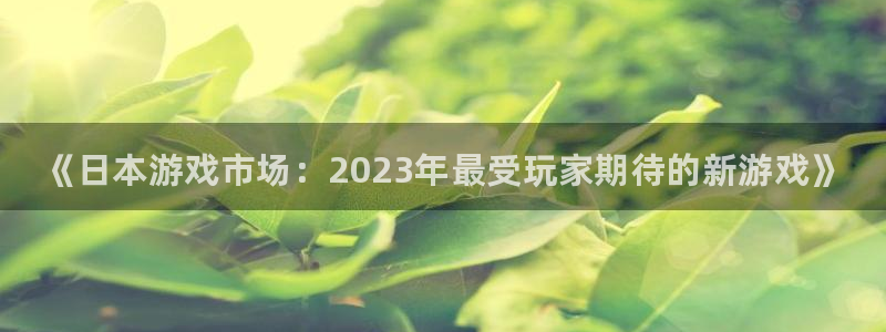 辉达娱乐手机网页版登录：《日本游戏市场：2023年最受玩家期
