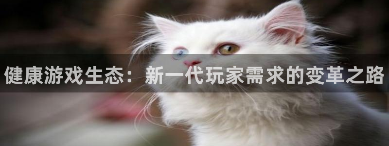 辉达娱乐官网：健康游戏生态：新一代玩家需求的变革之路