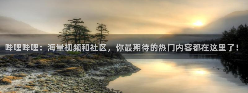 辉达娱乐网址注册：哔哩哔哩：海量视频和社区，你最期待的热门内