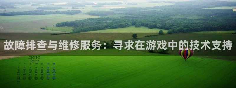 辉达娱乐注册登录平台：故障排查与维修服务：寻求在游戏中的技术