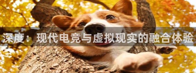 辉达娱乐升级5994月：深度：现代电竞与虚拟现实的融合体验