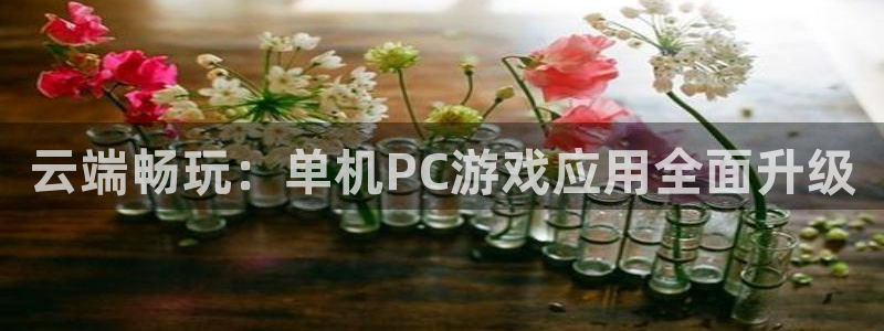 辉达娱乐官网登录：云端畅玩：单机PC游戏应用全面升级