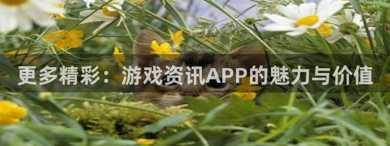 辉达娱乐官方登录网址：更多精彩：游戏资讯APP的魅力与价值