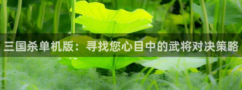 辉达娱乐平台登录线路：三国杀单机版：寻找您心目中的武将对决策