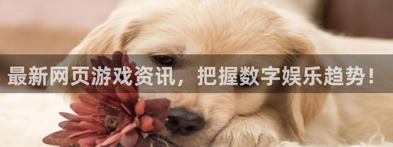 辉达娱乐注册地址：最新网页游戏资讯，把握数字娱乐趋势！