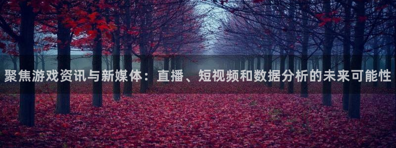 辉达娱乐4招商：聚焦游戏资讯与新媒体：直播、短视频和数据分析