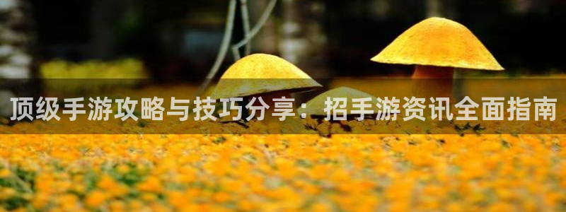 辉达娱乐点.3.3.4.8.2直达.官网d.长久.中国