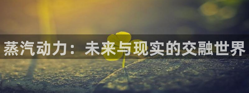 辉达娱乐官方电话号码查询