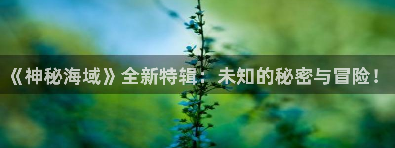 辉达娱乐亏损怎么办啊