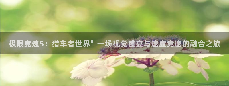 辉达娱乐创始人简介资料