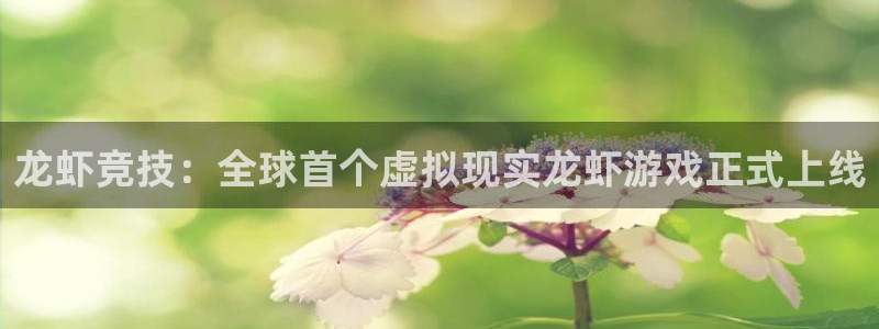 辉达娱乐是正规平台吗知乎