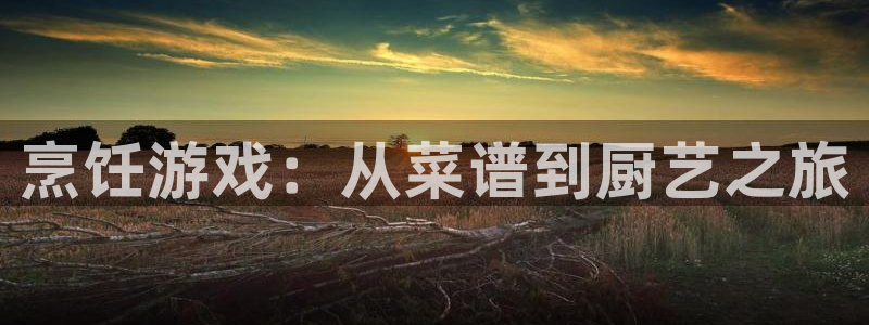 辉达娱乐是做什么的啊