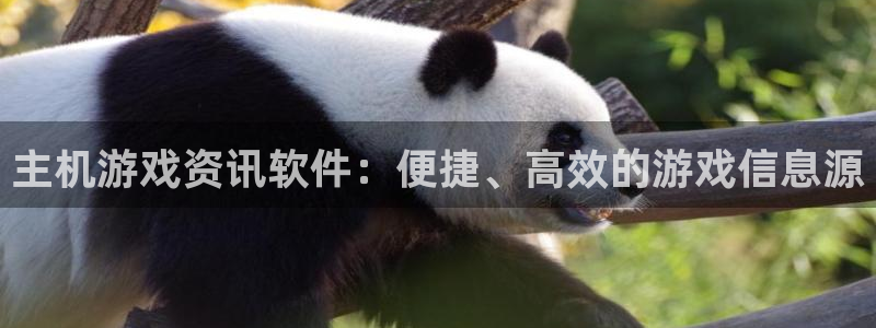辉达娱乐汽车怎么样