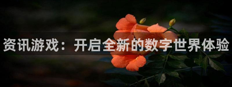 辉达娱乐退市的原因分析图