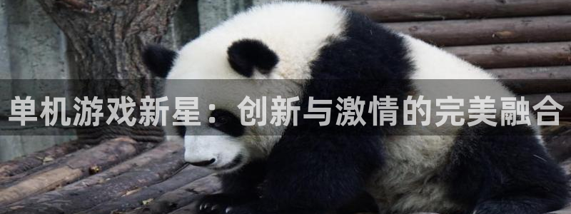 辉达娱乐app下载安装官网