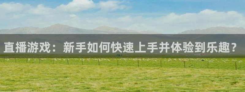 辉达娱乐最新消息